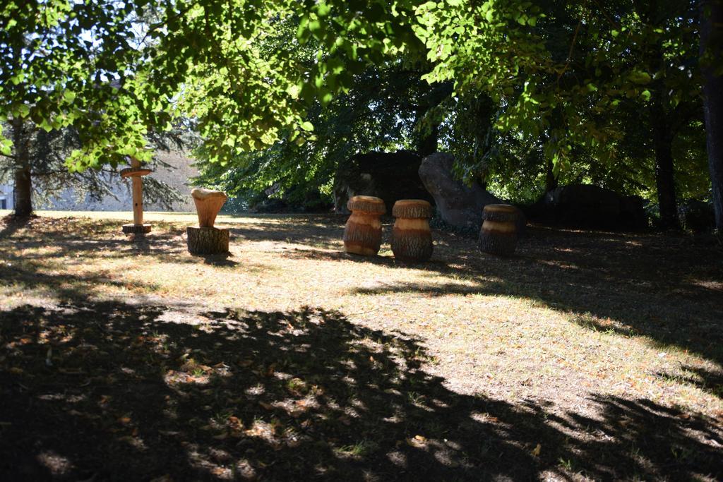 Domaine De La Rocque Acomodação com café da manhã Liorac-sur-Louyre Exterior foto